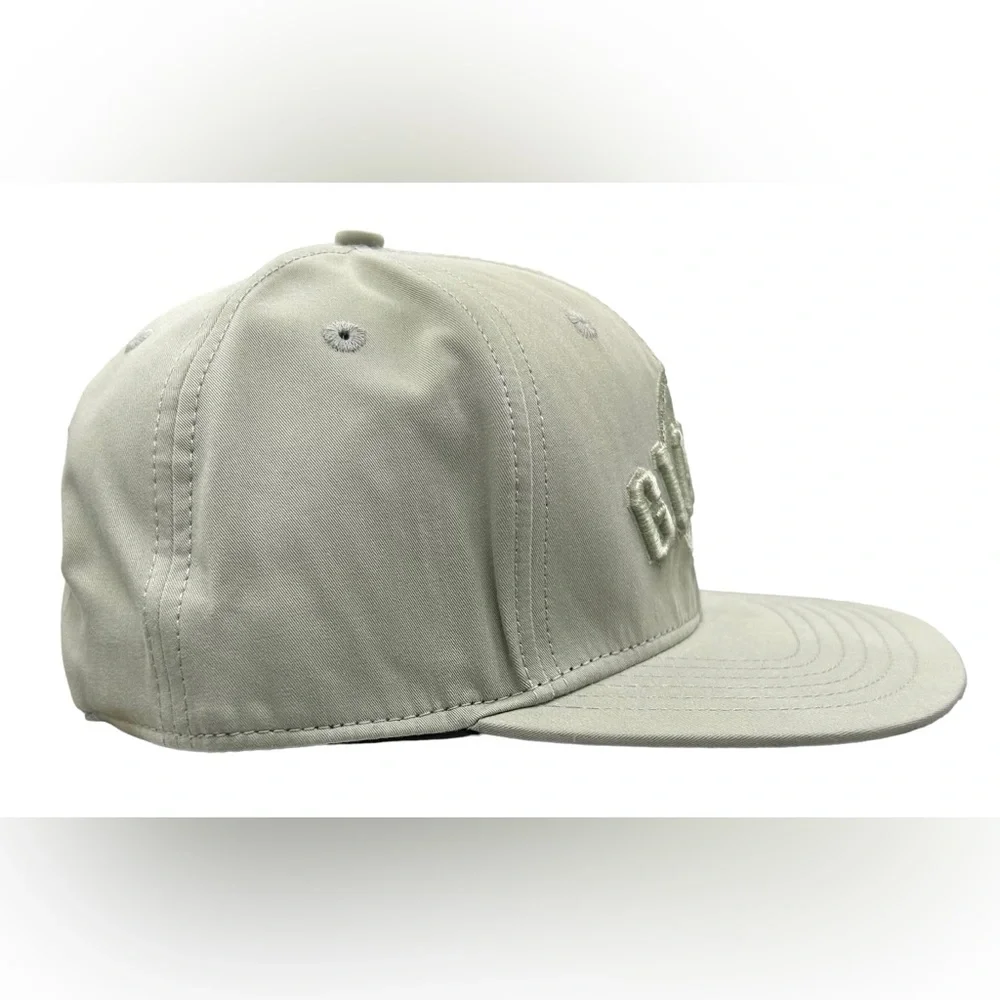 NEW San Francisco Giants Pro Standard Gray SnapBack Hat MLB Official Cap Flat - Picture 3 of 9